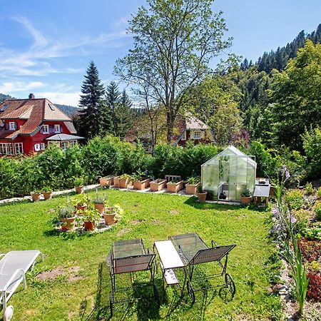 Villa Sonnenwinkel Todtmoos Kültér fotó