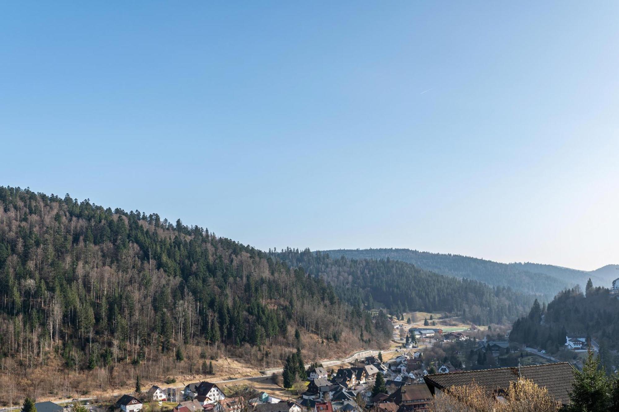 Villa Sonnenwinkel Todtmoos Kültér fotó