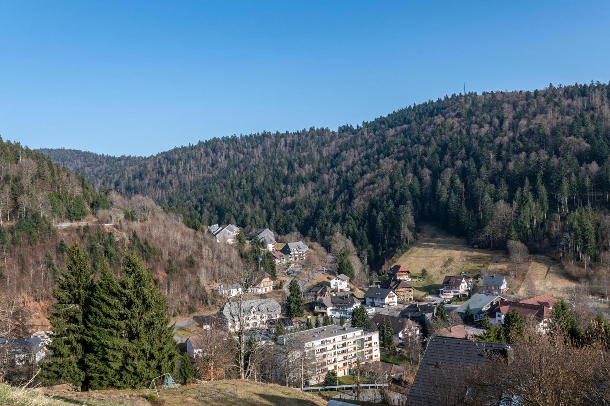 Villa Sonnenwinkel Todtmoos Kültér fotó