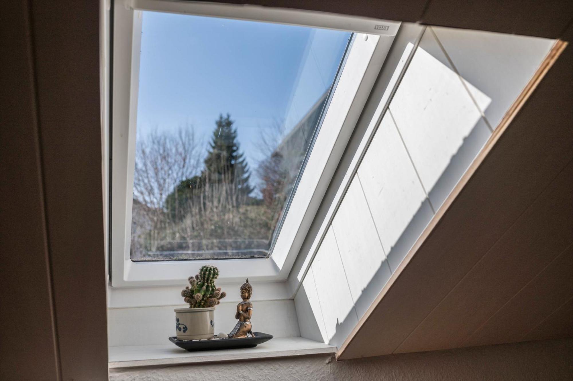 Villa Sonnenwinkel Todtmoos Kültér fotó